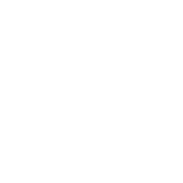 Import Tool Logo